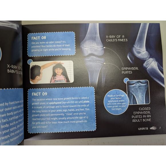 The Good and the Beautiful Anatomy Books Story Of A Cold Bones Dr Daniel William - Picture 2 of 8